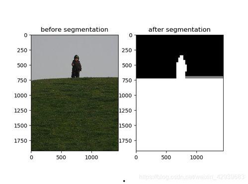 分割图像,图像分割技术助力视觉内容概览