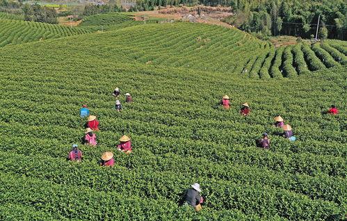 茶山春色 训上你的床,一场床上的温馨时光