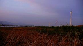 暮色归途,探寻人生旅程的温暖与孤独